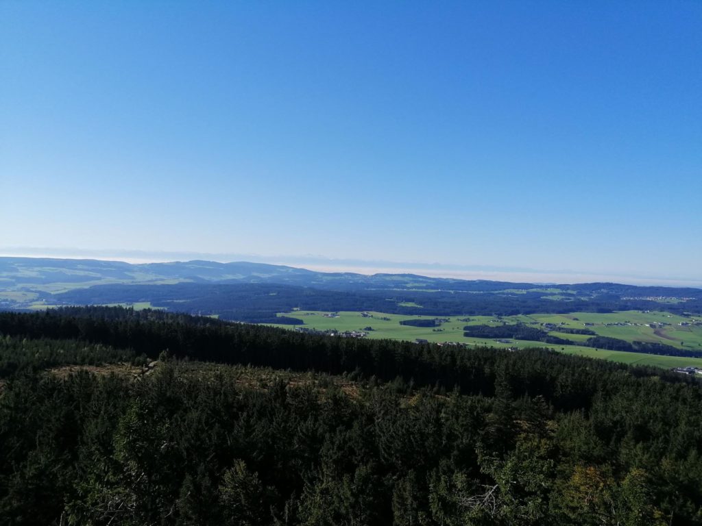 VSVWB-2023-Sternstein-12